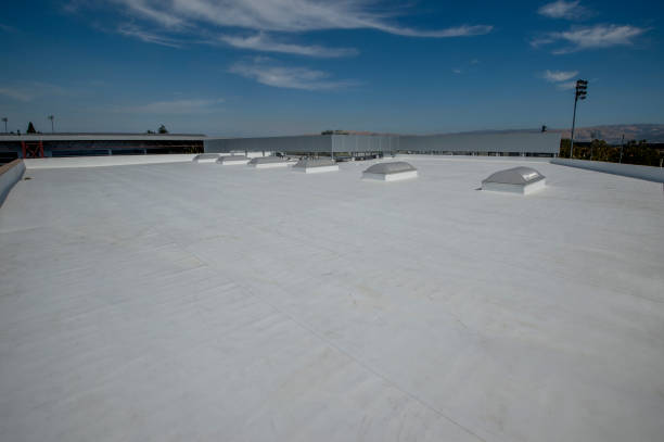 Best Green or Eco-Friendly Roofing Solutions  in Clinton, MI
