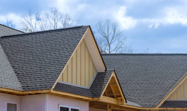 Best Roof Moss and Algae Removal  in Clinton, MI